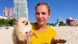 Maggie and Nastya lost their dogs