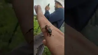 Составила список дел на лето. Заходи в мой тг, ссылка в профиле 
