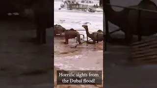 Horrific sights from the UAE FLOOD!          It's happened unexpectedly 😢😢