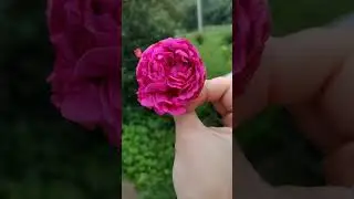 ДОЖДЛИВОЕ УТРО 🌧️☕