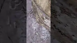 РЫБАЛКА ДЛЯ ДУШИ #рыбалка