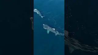 Our Living Ocean: Beyond Boundaries