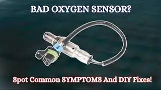 Top Symptoms and Causes of a Bad Oxygen Sensor - DIY Fixes