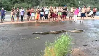 Anaconda en el tobogan de la selva