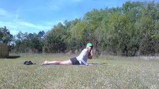 upper body strengthener