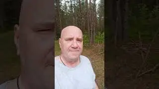первые грибы