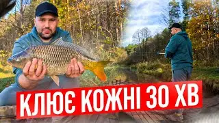 Такого кльову я не очікував. Риболовля на Флет пізньою осінню.