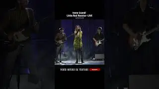 Irene Grandi - Little Red Rooster (LIVE)
