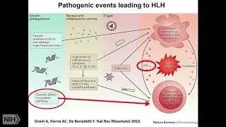 Cytokine-Targeted Therapies in MAS and HLH