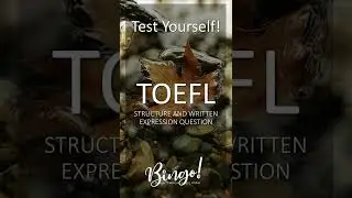 Test Yourself! 