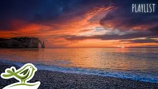 Relaxing Piano Music Playlist with Ocean Waves in the Sunset | Relax, Sleep, Focus