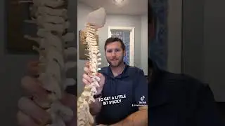 Ever wonder if chiropractors get adjusted too? We do! 🙌