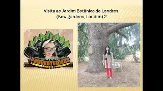 Visita ao Jardim Botânico de Londres (Kew gardens, London) 2