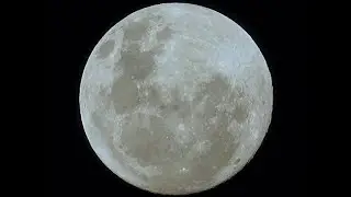 Strawberry Moon in Australia (June 4-2023) Nikon P1000