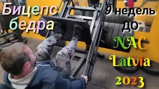 Бицепс бедра.