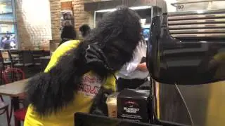 Did you spot OpenSnap's Gorillas on the loose?