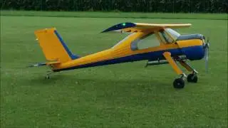 Wilga und Duo Discus