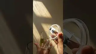 gelas anak, beli disin kaka https://s.shopee.co.id/4VJ9r5o0PI #tumbler #unboxing #affiliate #shorts