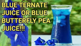 BLUE BUTTERFLY PEA JUICE