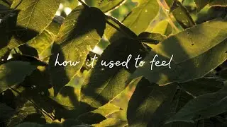 Phoebe Ryan - The Real Wild Ones (Official Lyric Video)