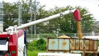 Rice Harvest Begins in Japan