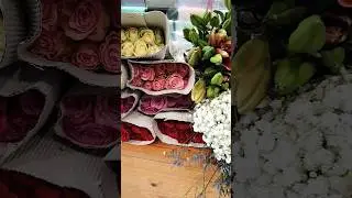 New flowers 💐 #shorts #flowers #newvideo #freshflowers #nature #natural #naturalflowers #viralshorts