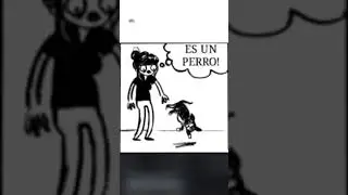 Es un perro no un gato