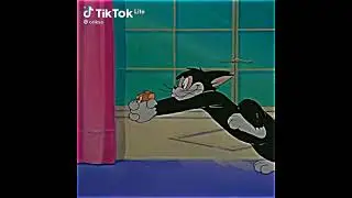 Том и Джери После Аниме 