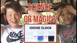 SCIENCE or MAGIC? | Instant Color Change Science Experiment!