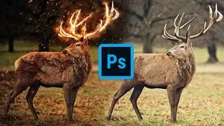 Flaming deer Photo Manipulation in Photoshop | Timelapse