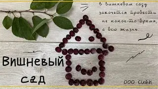 Вишневый сад//Новый ЖК//Жить в Крыму