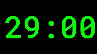 29 Minute Timer