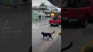 no sé si mejor vender lanchas #saltillo