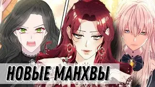 ОБЗОР НА НОВЫЕ СЕДЗЕ МАНХВЫ | Автобус-кун и любовный квадрат прилагаются╰(▔∀▔)╯