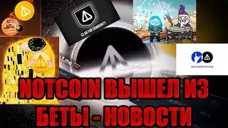 NOTCOIN НОВЫЙ ПУЛ - Dogin Hood. Исследуем новые криптопроект и зарабатываем токены NOT