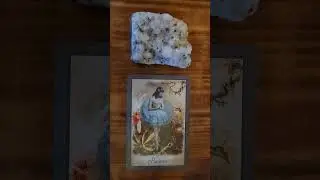Message of the day #tarot #fortunetelling #future #valorofcards #prediction