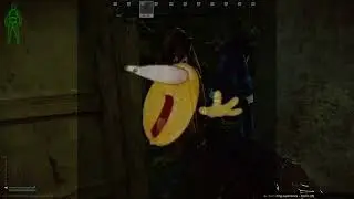 This is what streamer loot looks like in Tarkov wipe patch 14