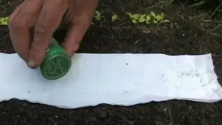 Tricks For Sowing Small Seed