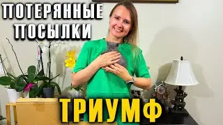 РАСПАКОВКА ПОТЕРЯННЫХ ПОСЫЛОК / ТРИУМФ