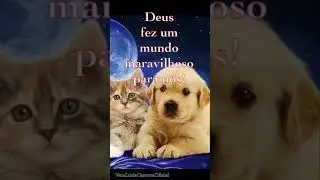 ASSISTA ESSE VIDIO