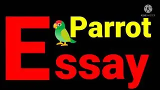 Essay on parrot.