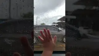 Моя жизнь