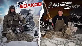 Охота на волков! 2 дня погони 160км.Hunting Wolves
