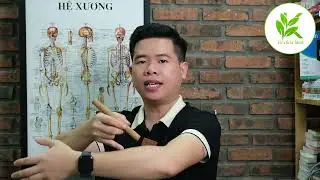 KHỚP VAI ĐAU KHÔNG NHẤC LÊN ĐƯỢC Nhiều Người Áp Dụng Cách Này Và Mừng Rỡ | TCL