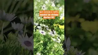 Frühlingszeit ist Gartenzeit! 🌷 