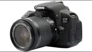 Best Entry level DSLR Cameras of 2019