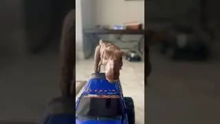 Dinosaurio travieso 😅