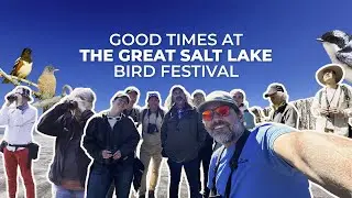 The 2024 Great Salt Lake Bird Festival Was Awesome!
