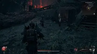 Don't Trust The Deers!
