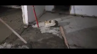 ЮБК ДОМ - тайны подземелья